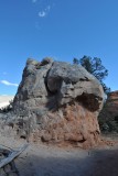 DSC_6356 (105)