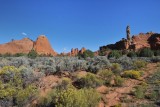 DSC_6369 (118)