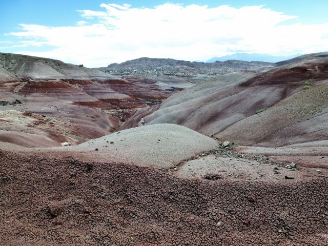 P1020391