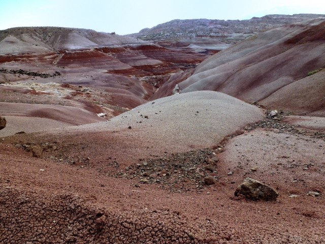 P1020392
