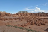 DSC_6559 (308)