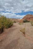 DSC_6568 (317)