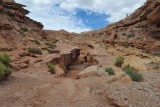 DSC_6574 (323)