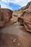 DSC_6576 (325)
