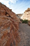 DSC_6587 (336)