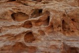 DSC_6589 (338)