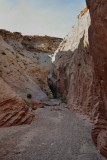 DSC_6592 (341)