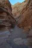 DSC_6634 (383)