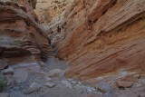 DSC_6637 (386)