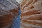 DSC_6663 (412)