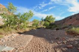 DSC_6697 (446)