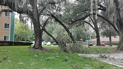 Schade vd storm