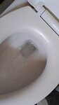 De magische wc