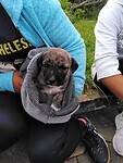 IMG_20210929_173203