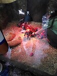 IMG_20211209_104232