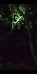 Screenshot_20220103-222109