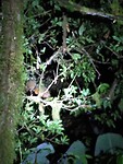 IMG_20220103_221120