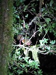 IMG_20220103_221104