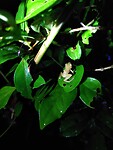 IMG_20220103_220851