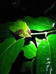 IMG_20220103_215837