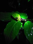 IMG_20220103_215830