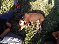 IMG_20220119_153020