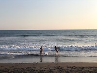 IMG-20220121-WA0024