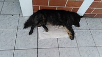 IMG-20220127-WA0019