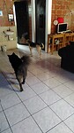 IMG-20220130-WA0005