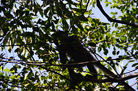 DSC_9792