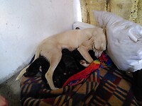IMG_20220314_125819