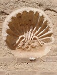 IMG_20220314_102036