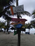IMG_20220303_113021