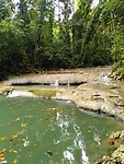 IMG_20220303_103255