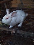 IMG_20220513_182545