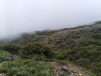 IMG_20220529_113902