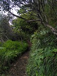 IMG_20220529_112658
