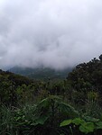 IMG_20220529_112656