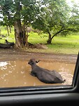 IMG_20220626_100307