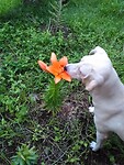 IMG_20220704_183907