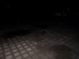 SAM_0350