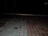 SAM_0353