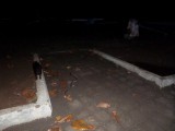 SAM_0355