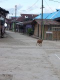 SAM_0474