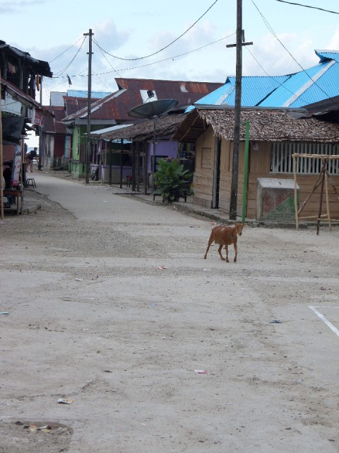 SAM_0474