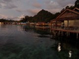 SAM_0484