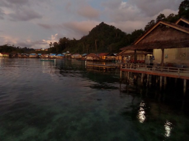 SAM_0484