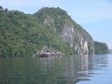 SAM_0497