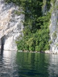 SAM_0540