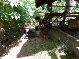 SAM_0589